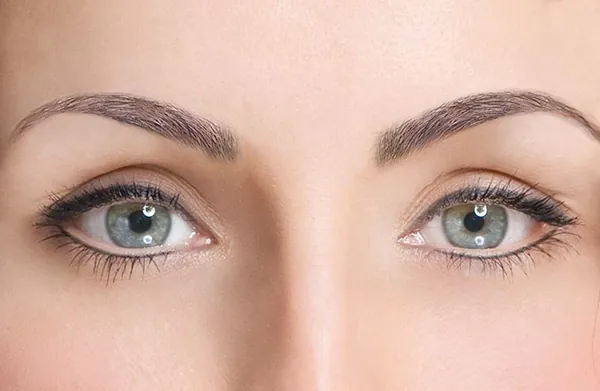 Permanent Make-Up Augenbrauen, Ergebnis 2