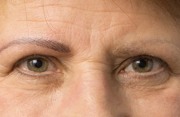 Permanent Make-Up Augenbrauen, Ergebnis 3