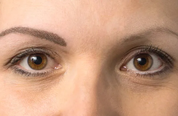 Permanent Make-Up Augenbrauen, Ergebnis 4