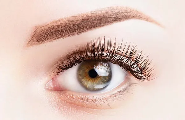 Permanent Make-Up Lider, Ergebnis 4